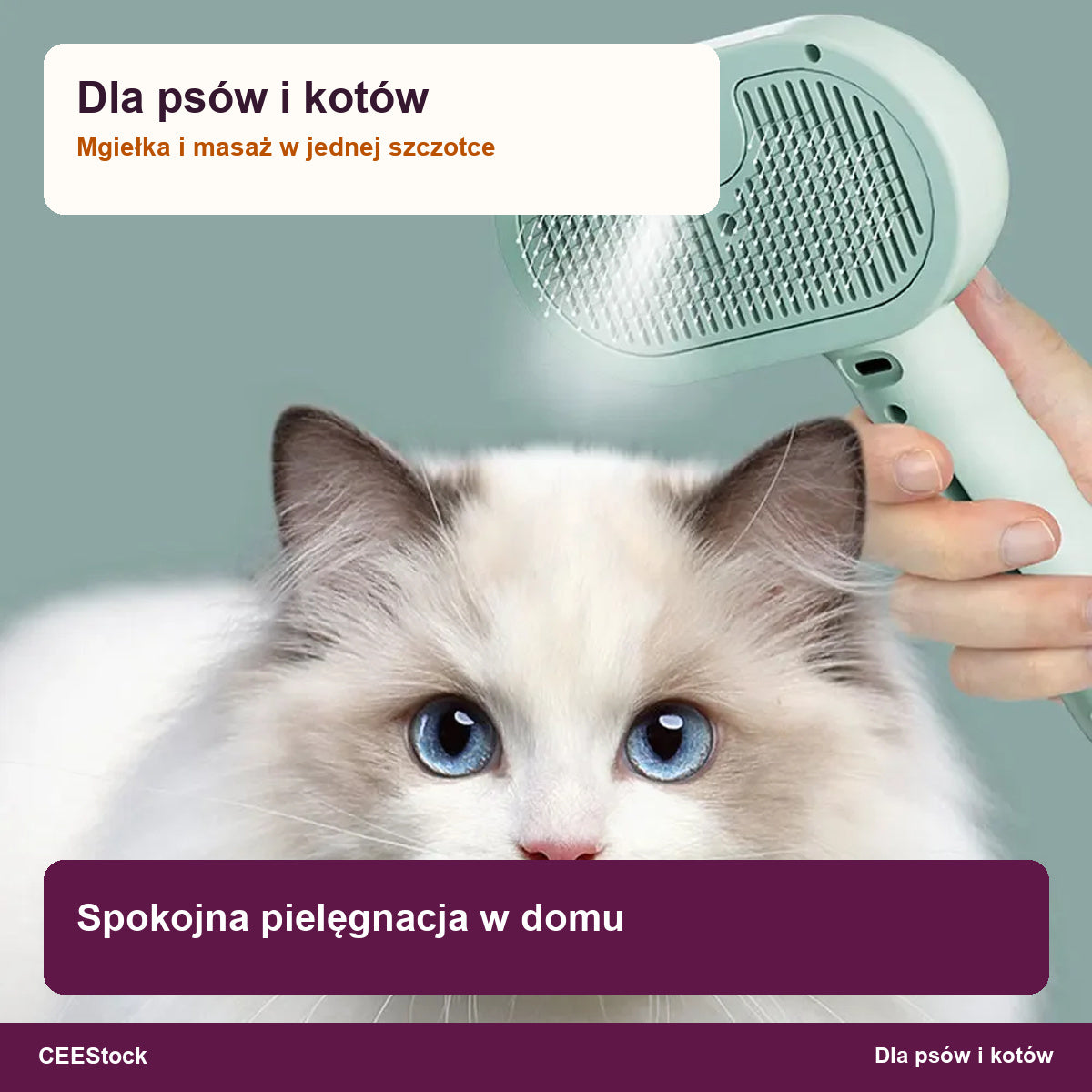 [vapor-lifestyle] Pielęgnacja kota szczotką z mgiełką w domu