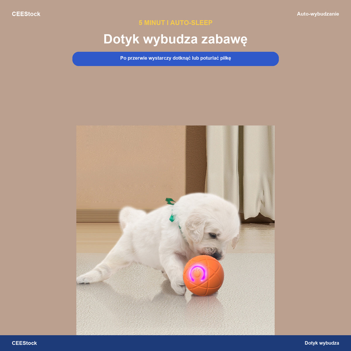 Pies wybudza dotknięciem pomarańczową piłkę skaczącą LED