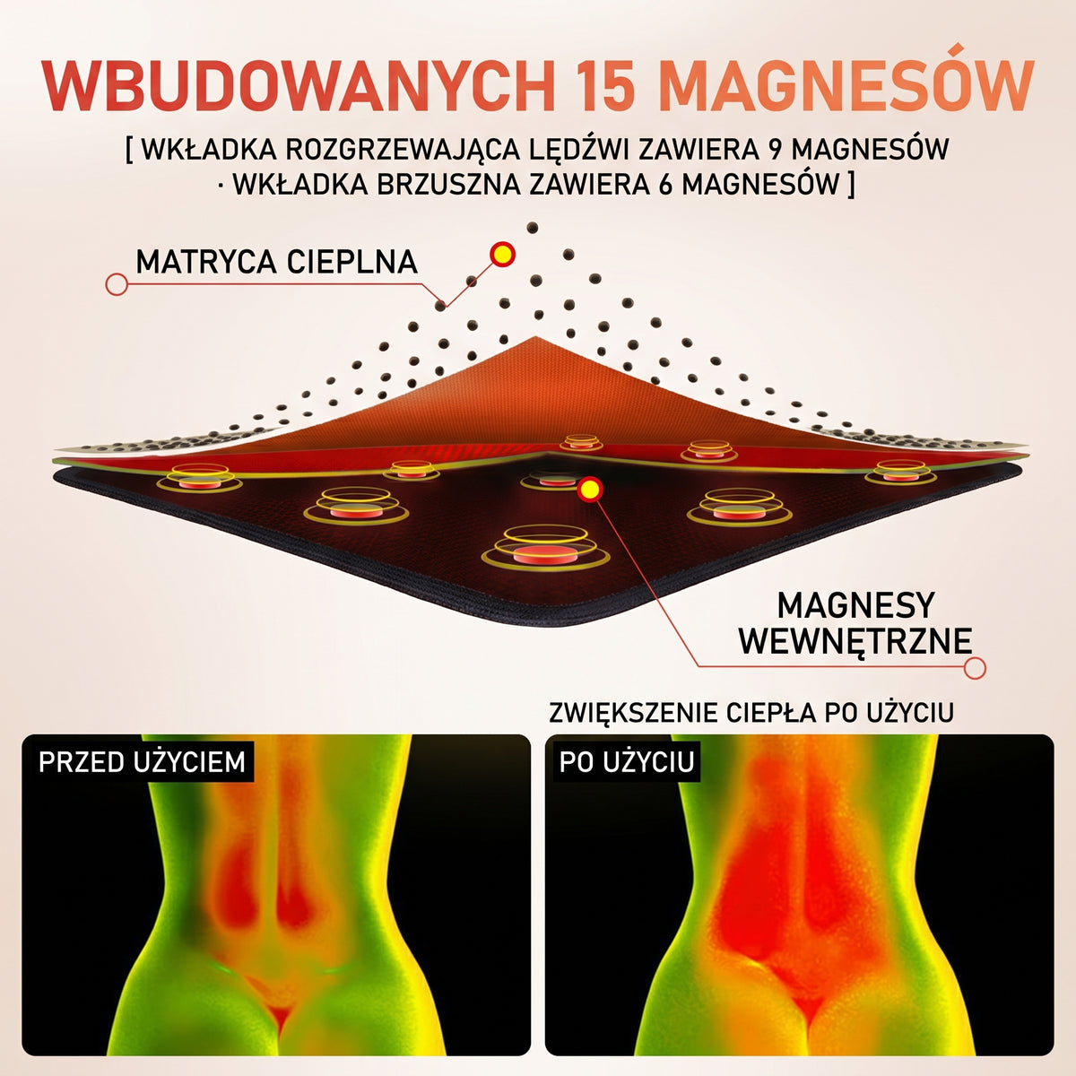 Pas lędźwiowy — schemat budowy wkładki pasa